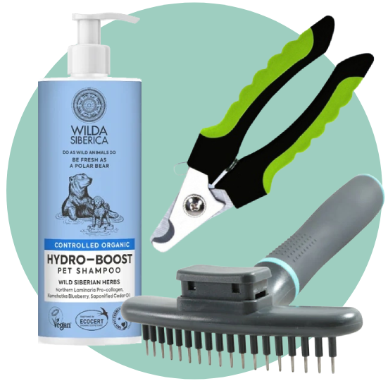 الصحة و الجمال للكلاب