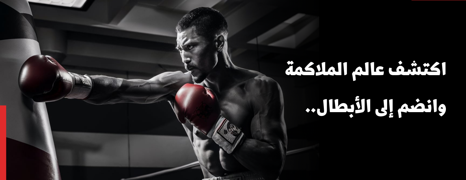 wolvesboxing image-slider-0