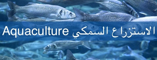 GVC مركز غران البيطري image-slider-5