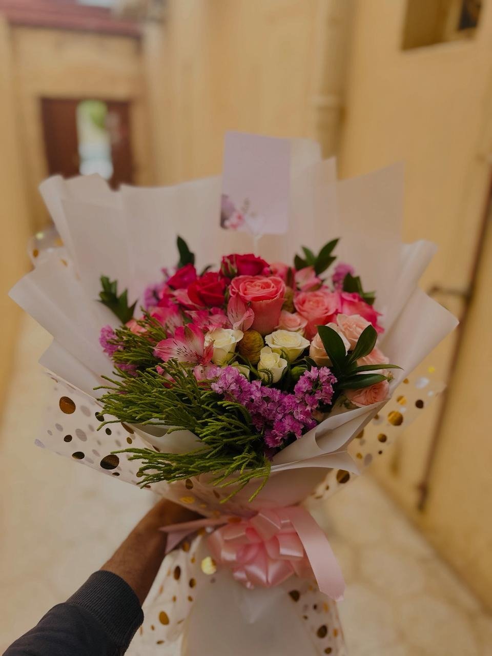 العروض و التخفيضات