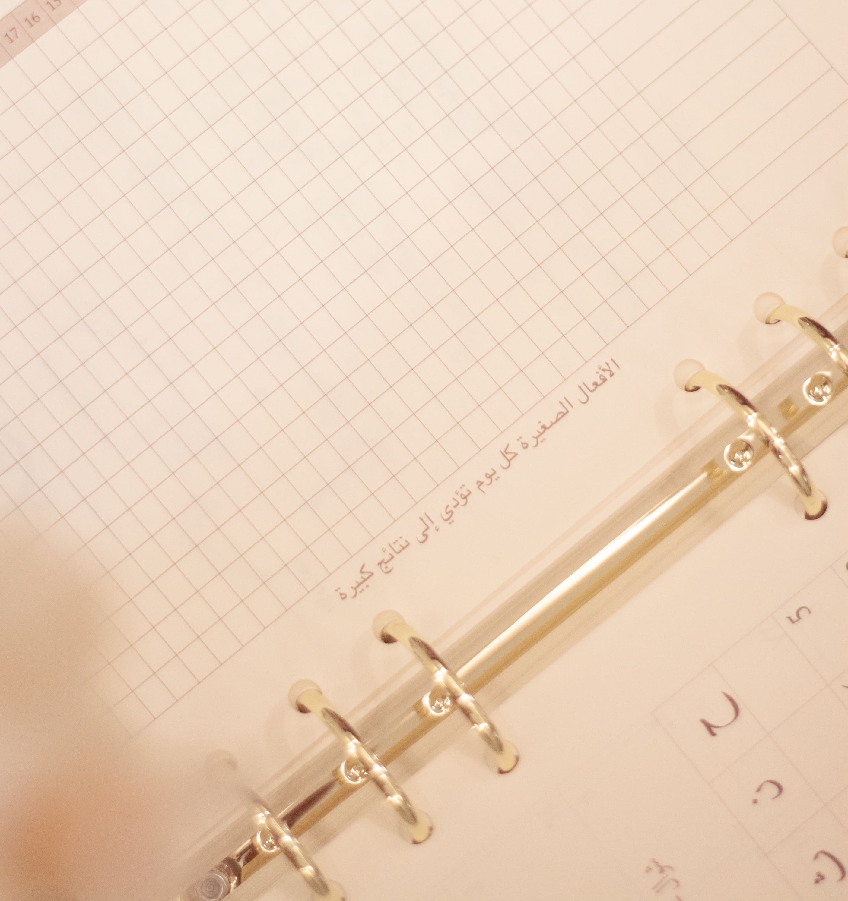 حلقات متحركة