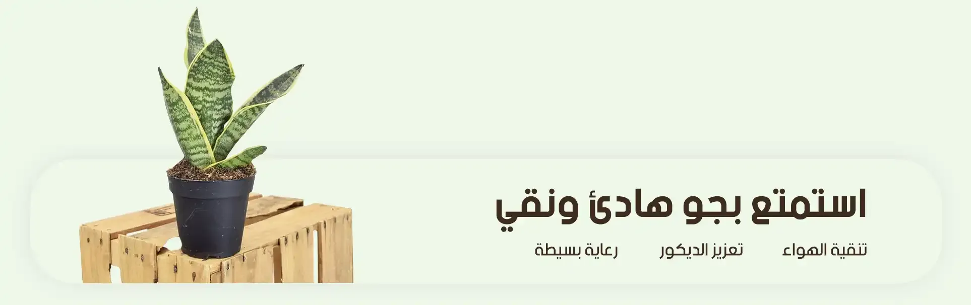 fixed banner