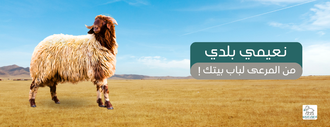 زاد الموائد للذبائح image-slider-0