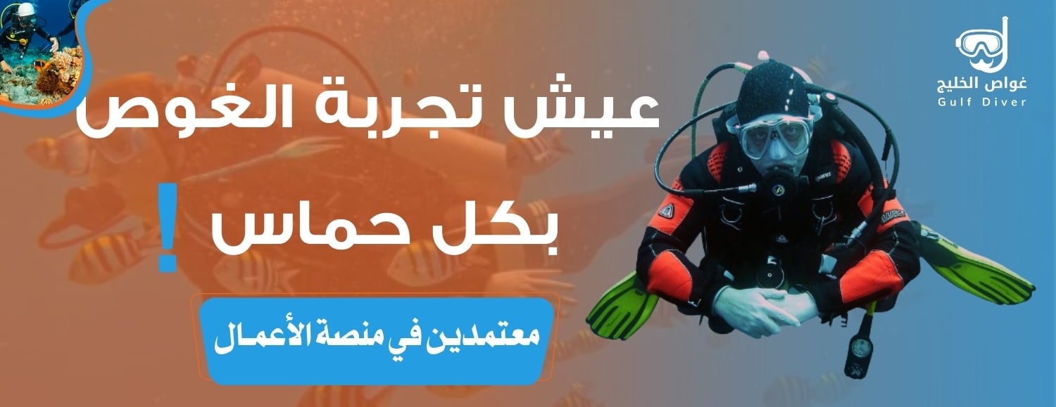 غواص الخليج | Gulf Diver image-slider-0
