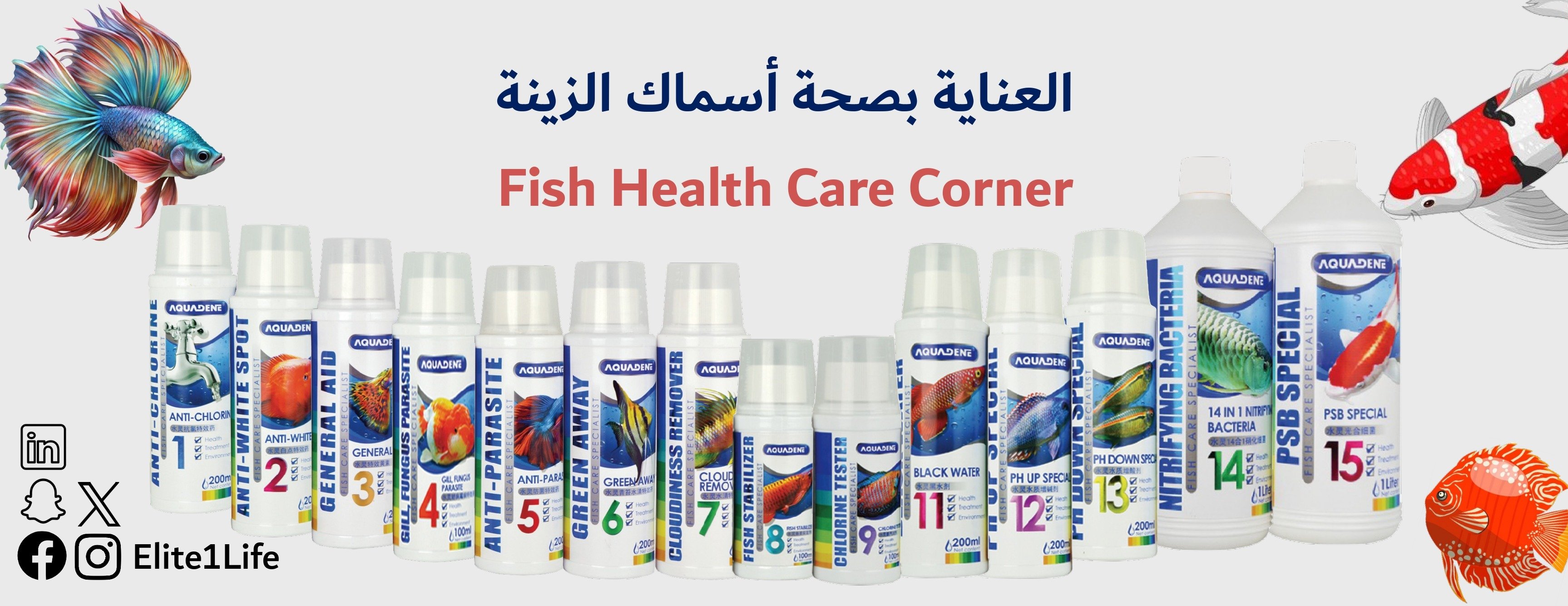 Elite Beautiful Life image-slider-0