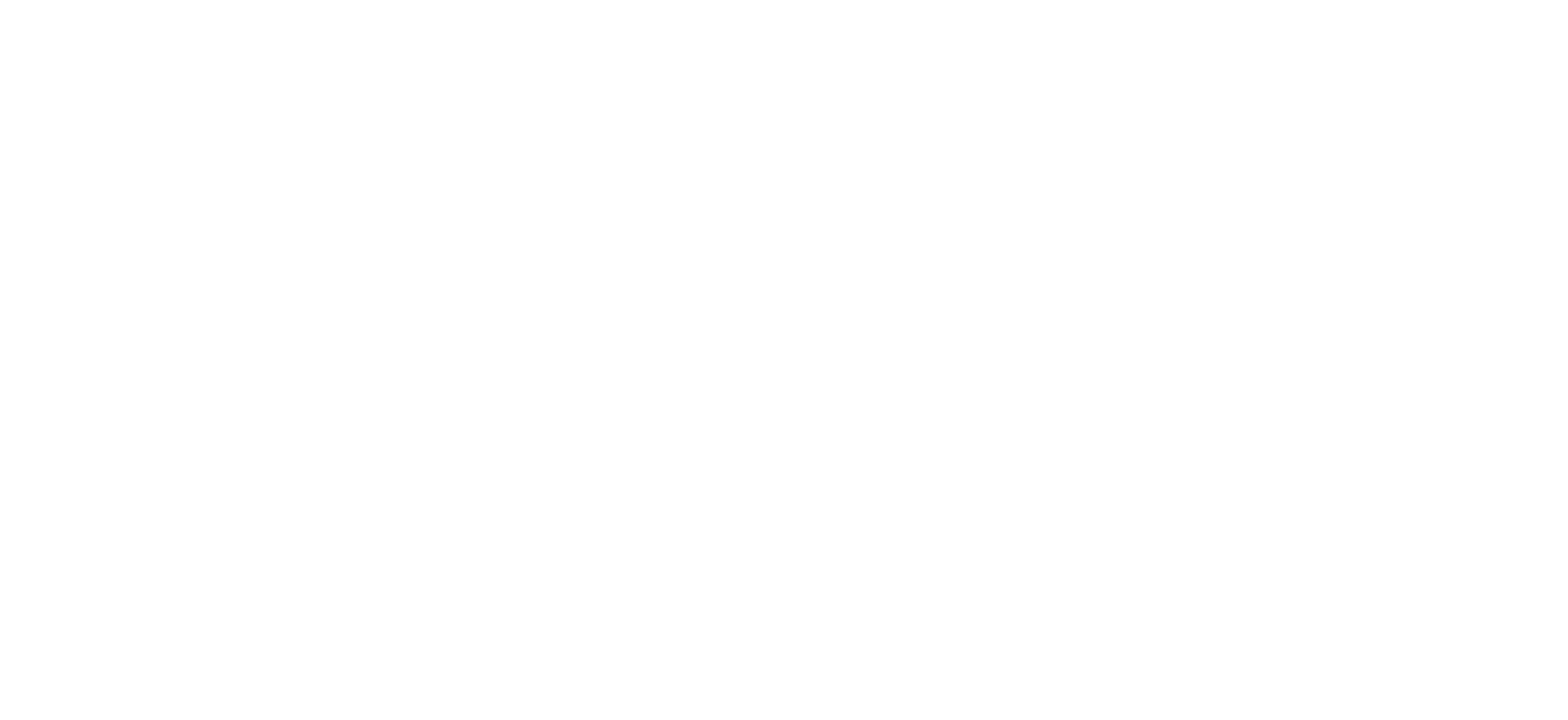 SV Logo