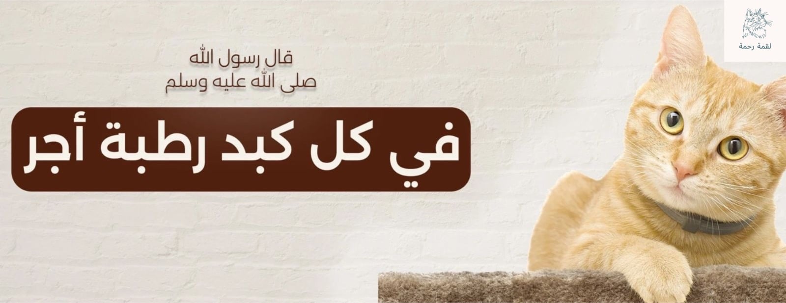 لقمة رحمة image-slider-0