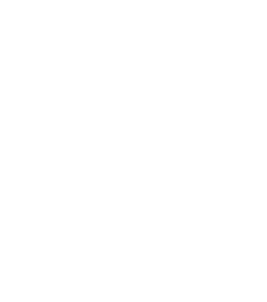 Ebra-alt-logo