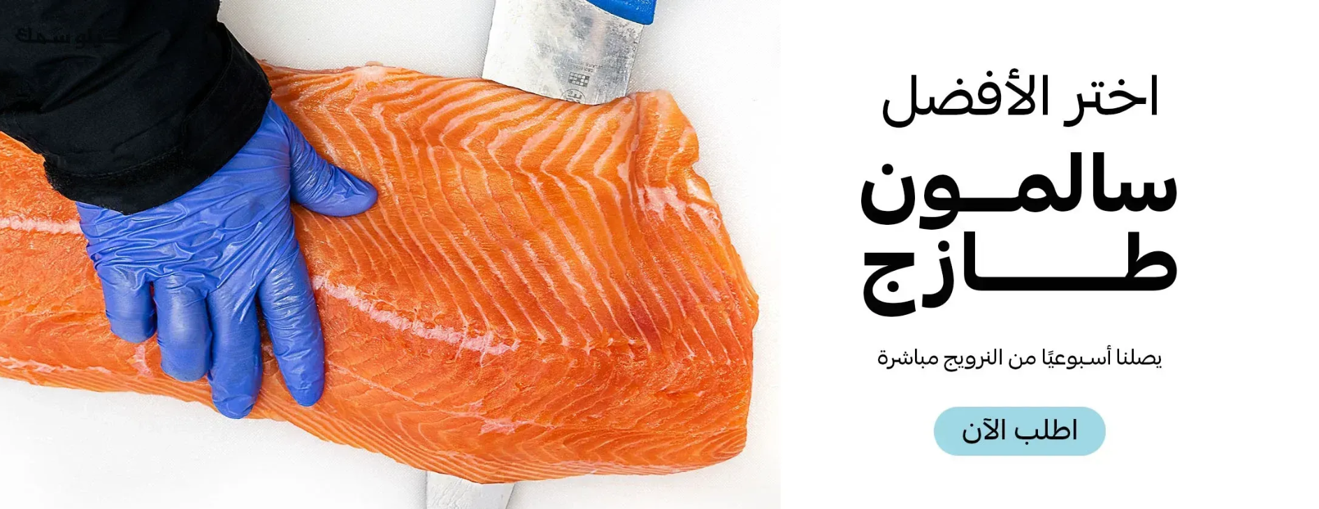 Kilo Samak image-slider-3