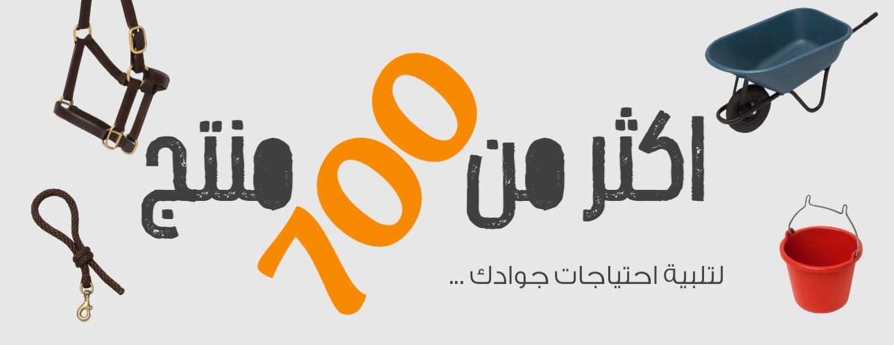 فنون الفروسية image-slider-2