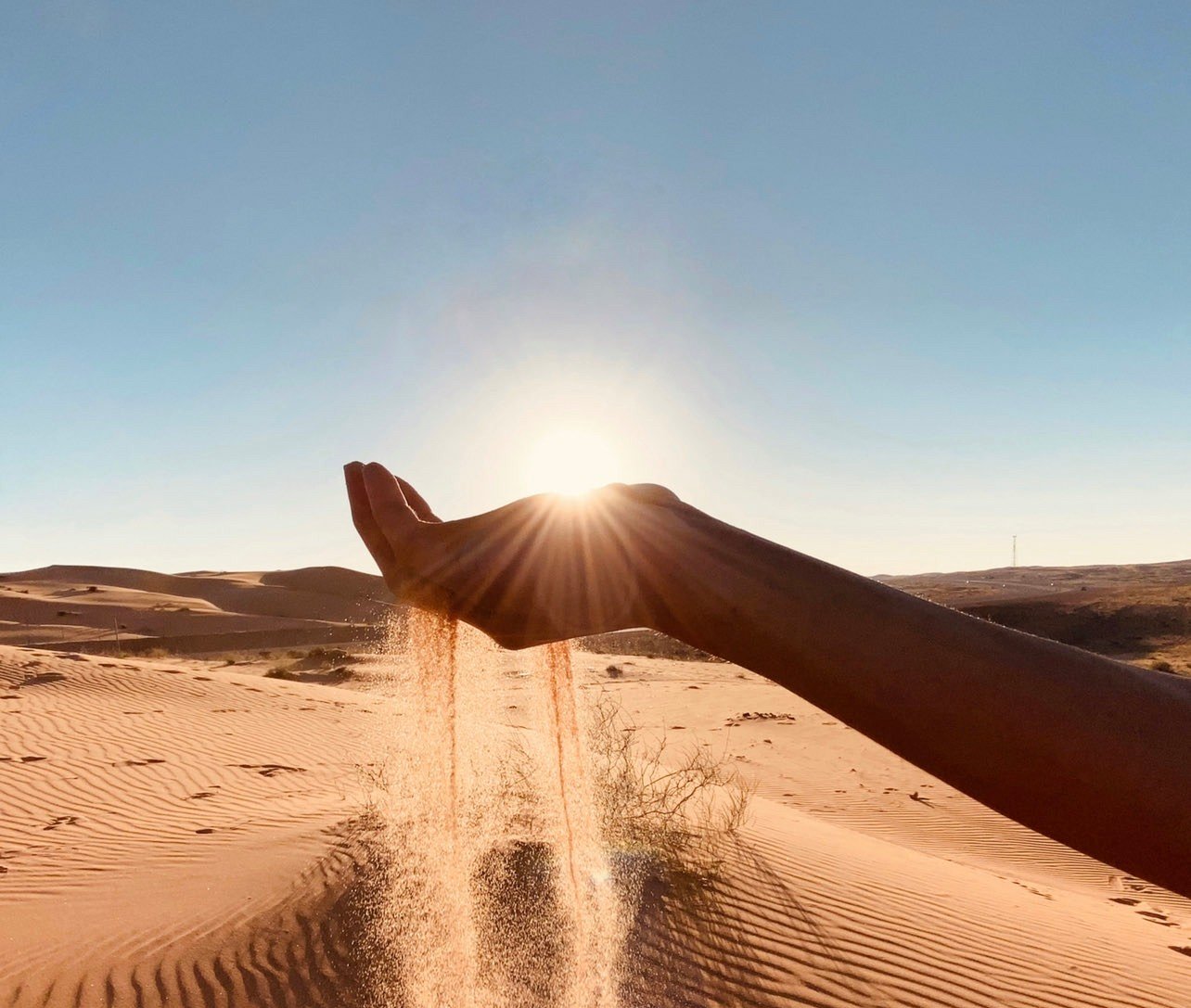 غدير الأحمدي