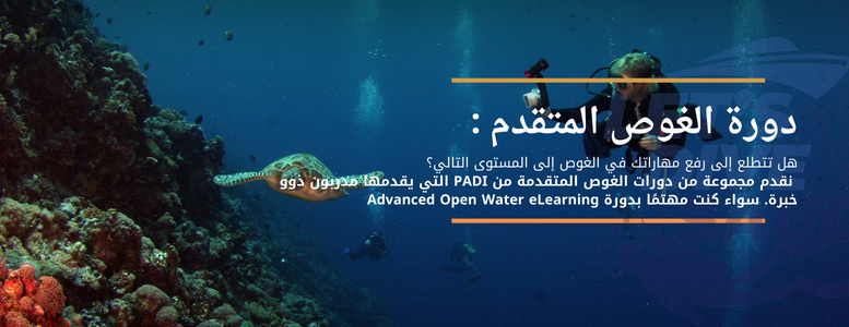 lets dive saudia | هيَّا غوص السعودية image-slider-1