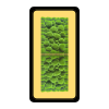VEGA MOSS