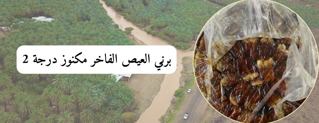 برني العيص image-slider-1