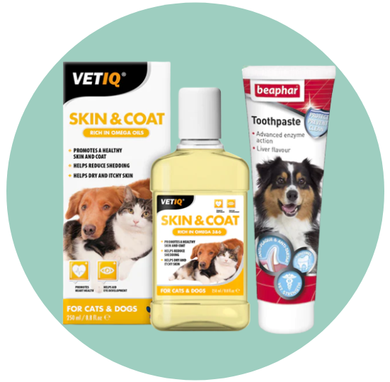 العناية الصحية للكلاب