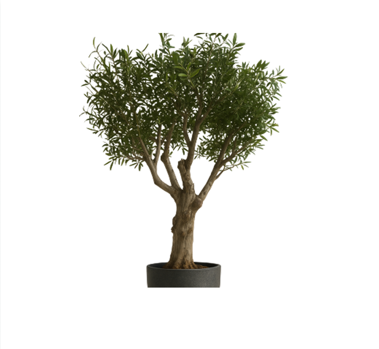 نباتات مصنوعة يدويا