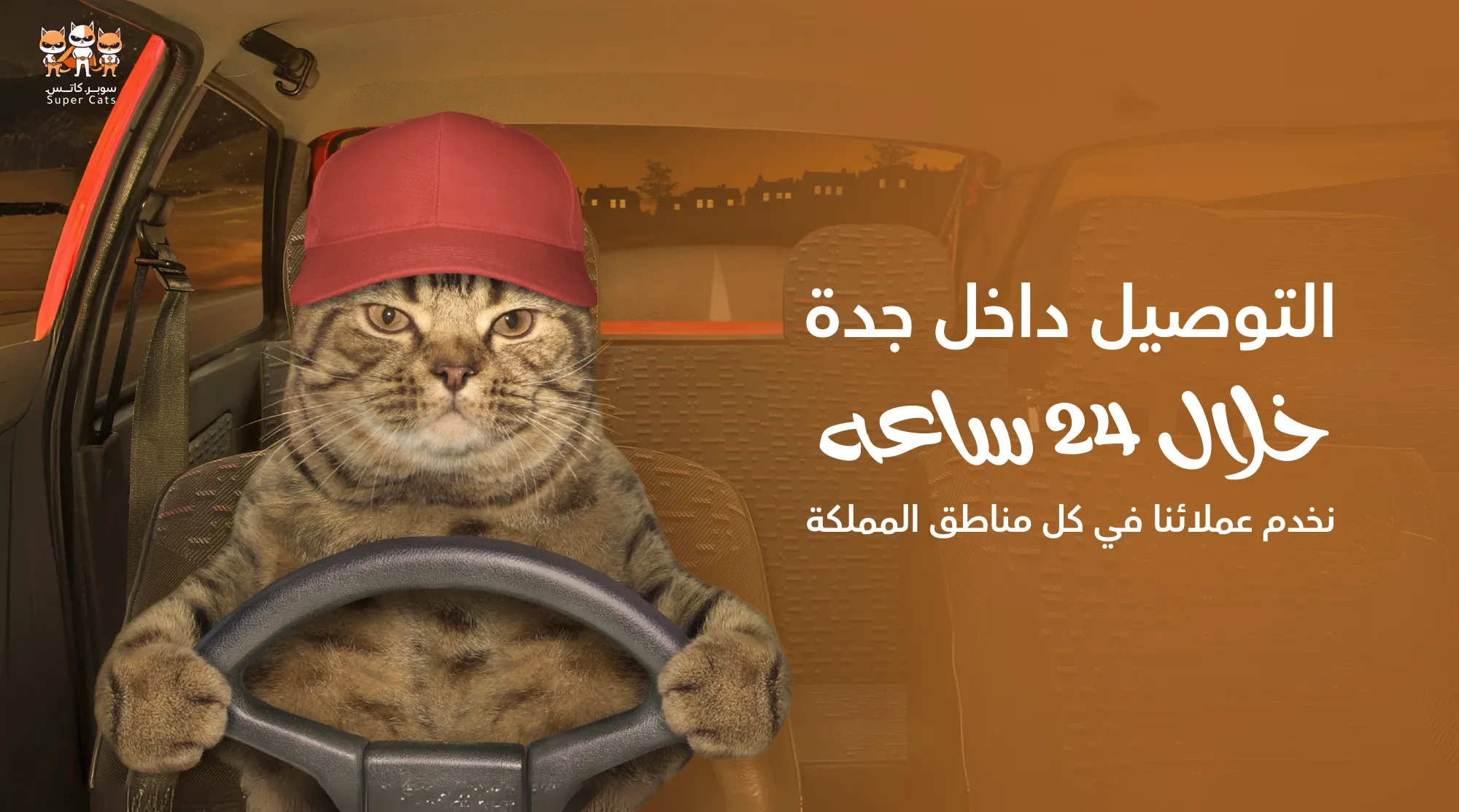متجر سوبر كاتس لمستلزمات القطط