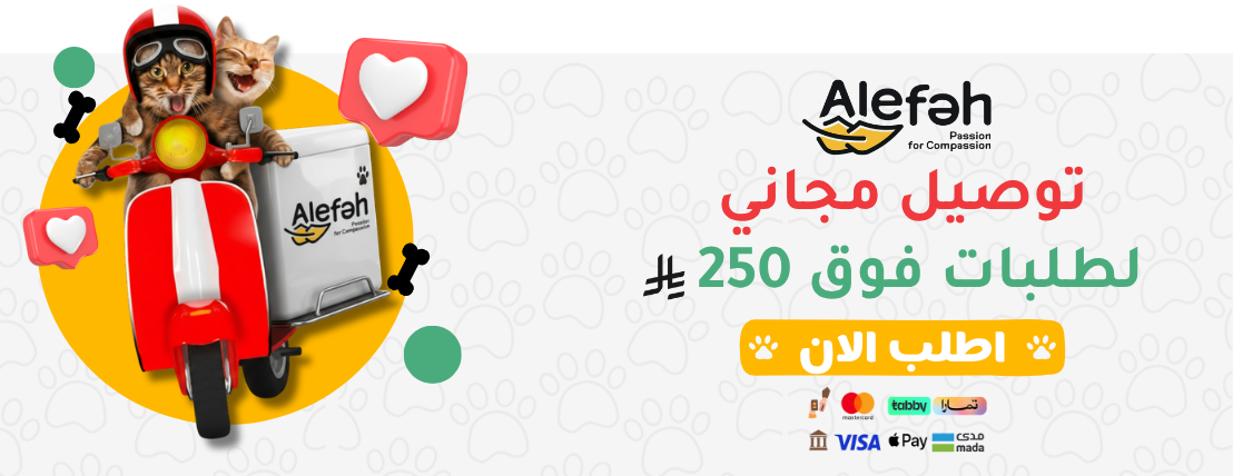 أليفة بوتيك image-slider-4