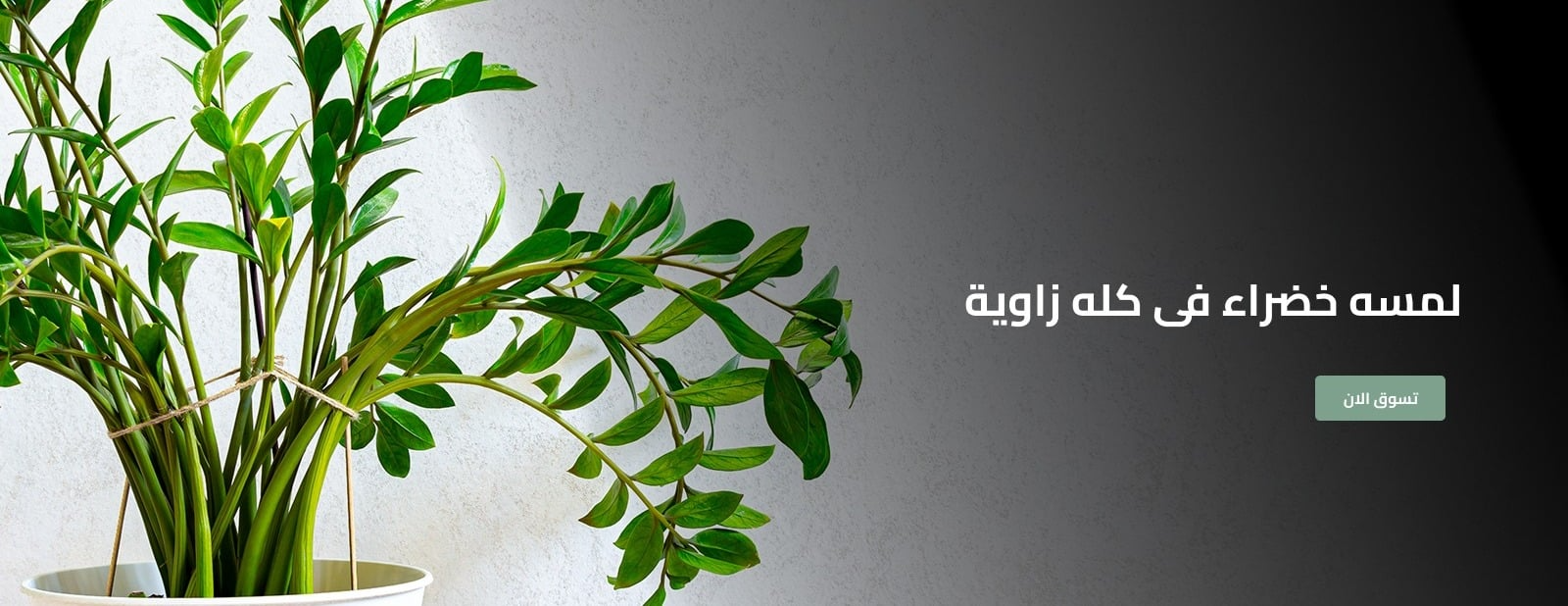 Green It image-slider-2