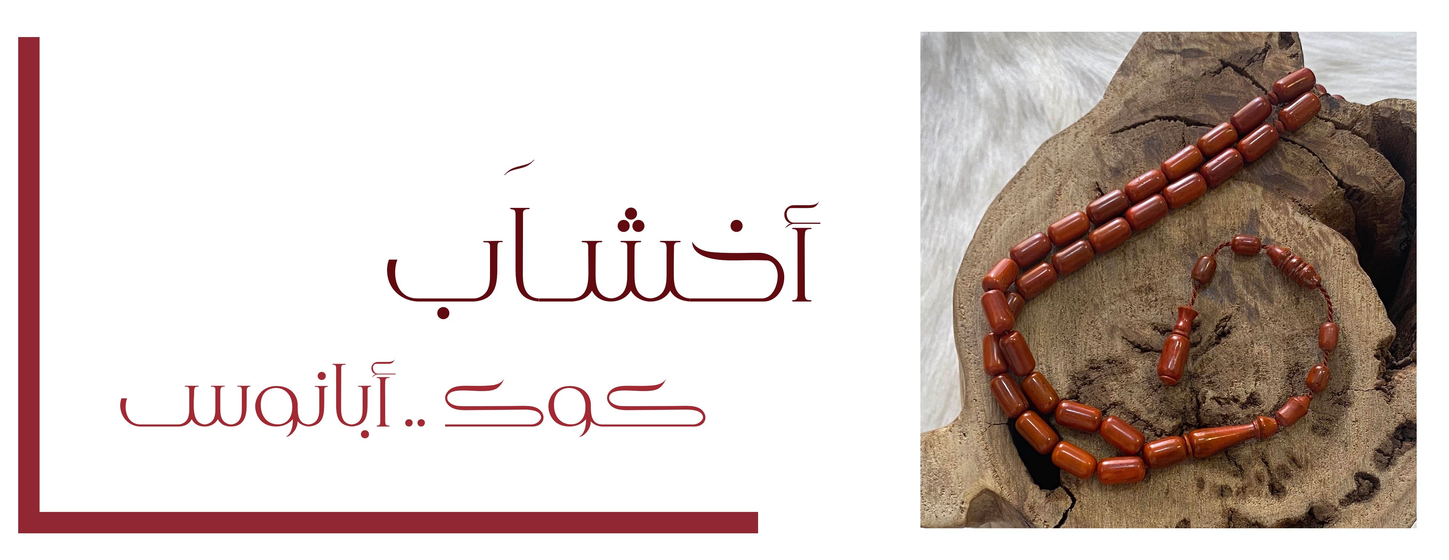 مسباح عيسى image-slider-1