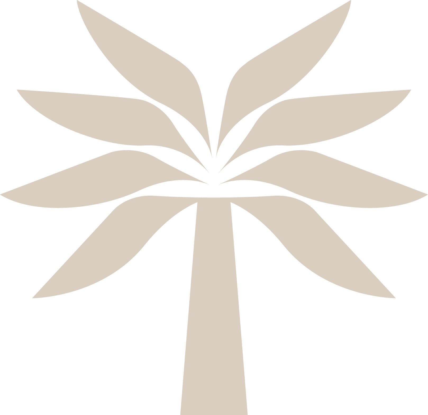 تخيل المذاق…