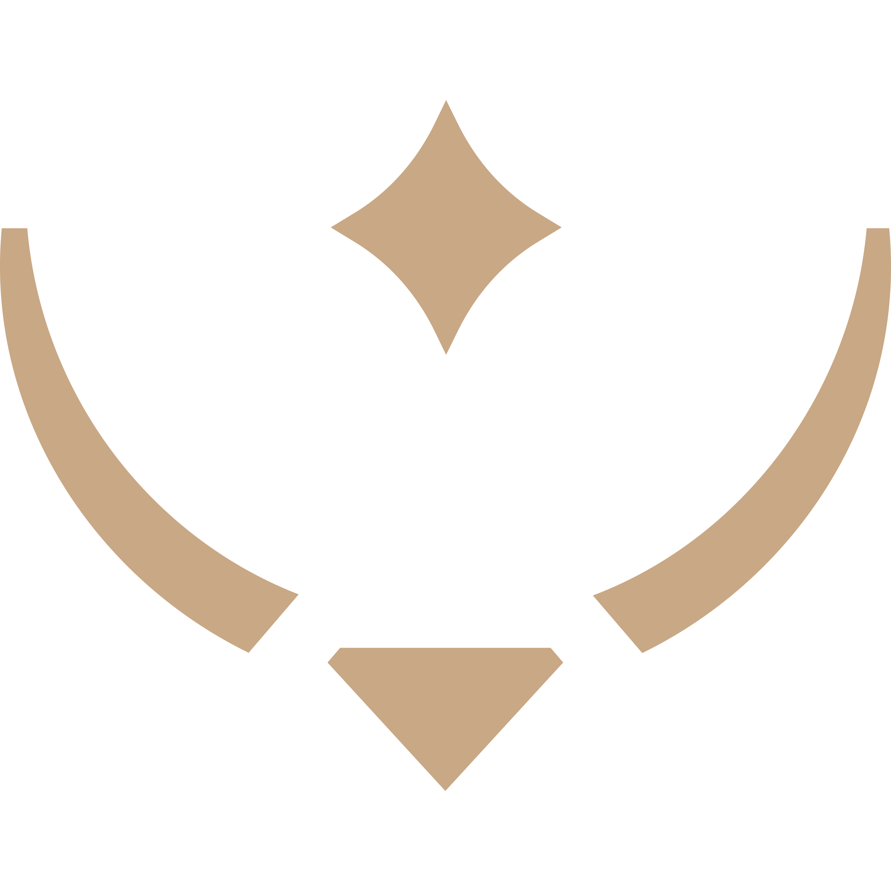 Pearl shine Logo