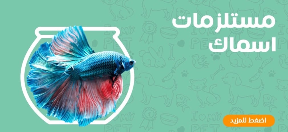 fixed banner