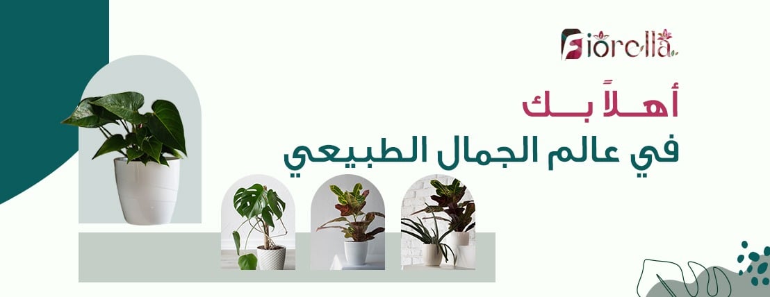 متجر فيوريلا image-slider-0