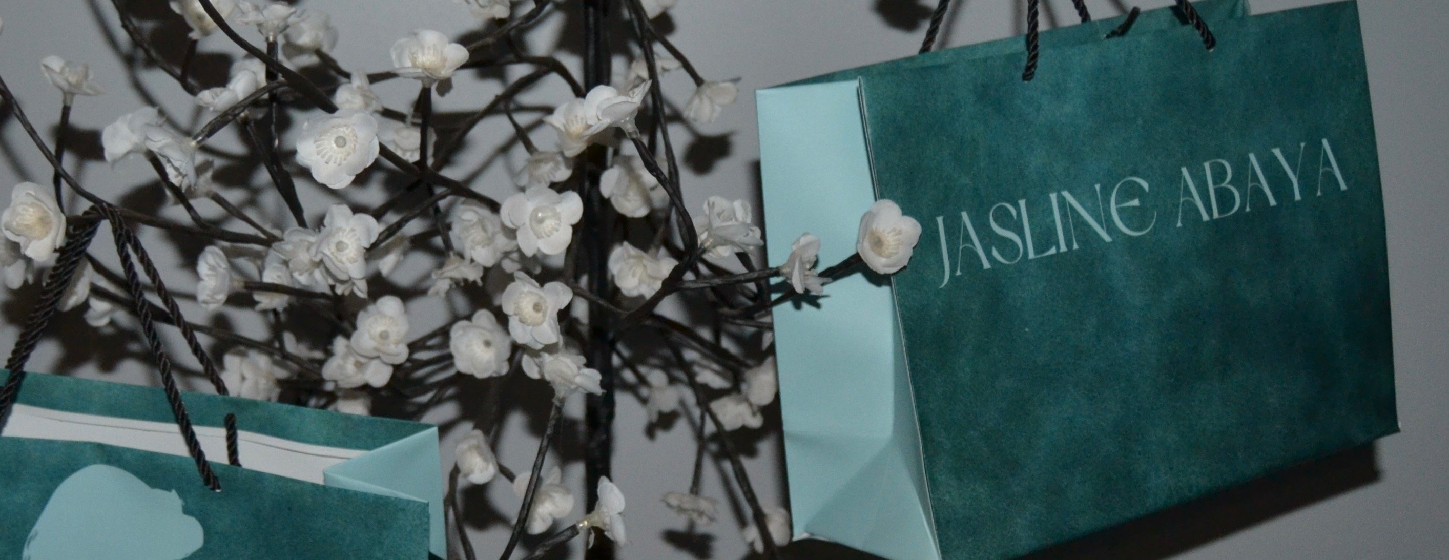 JASLINE image-slider-0