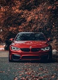 محمد المحضار