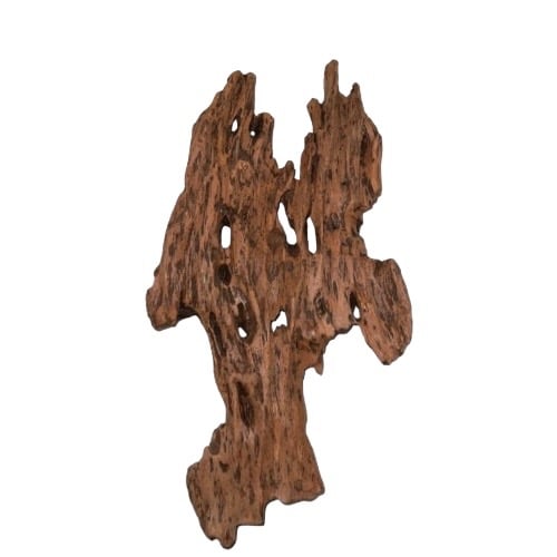 https://cdn.salla.sa/form-builder/6hC3KGloF04OazeNhHGXiIxyVAJlXy2YeGn2Urek.jpg
