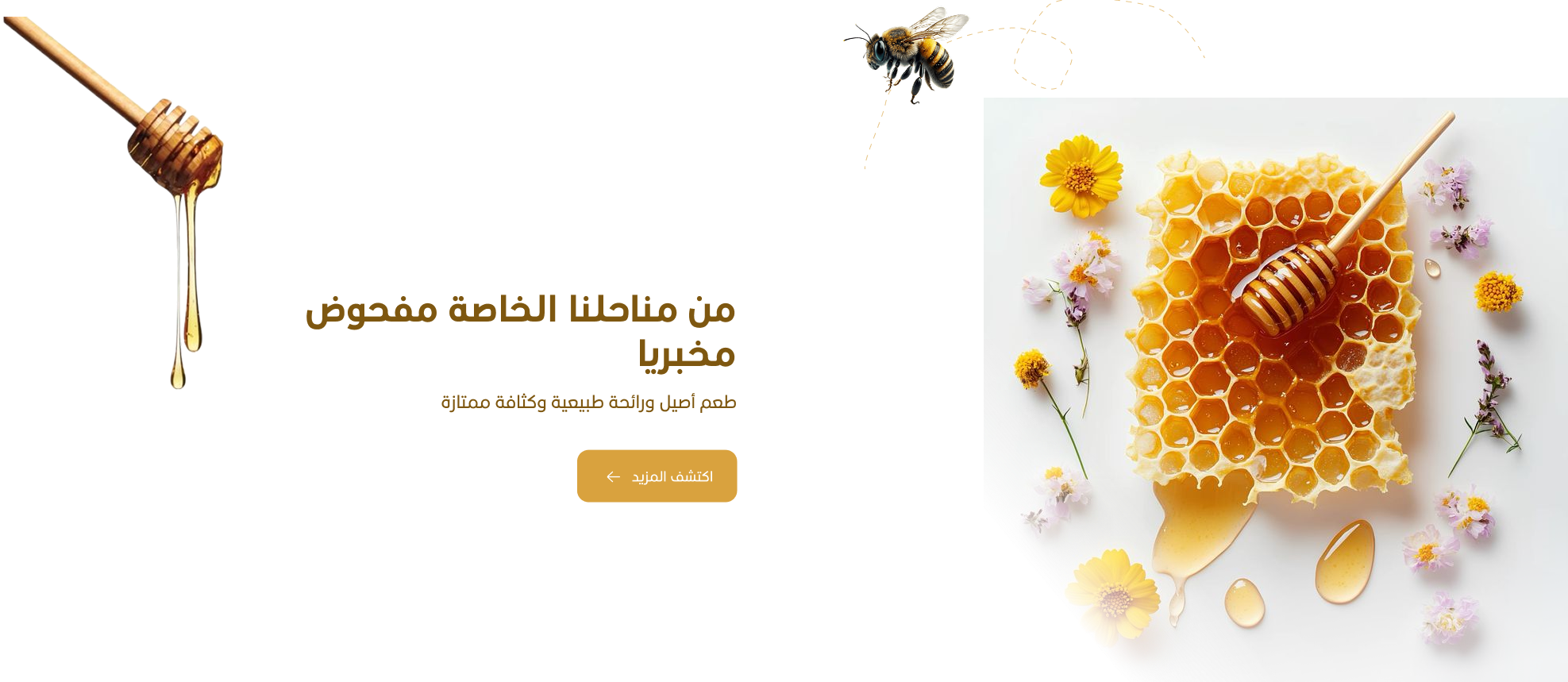 Mamlakat Alasall image-slider-0