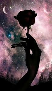 أريج عبدالله