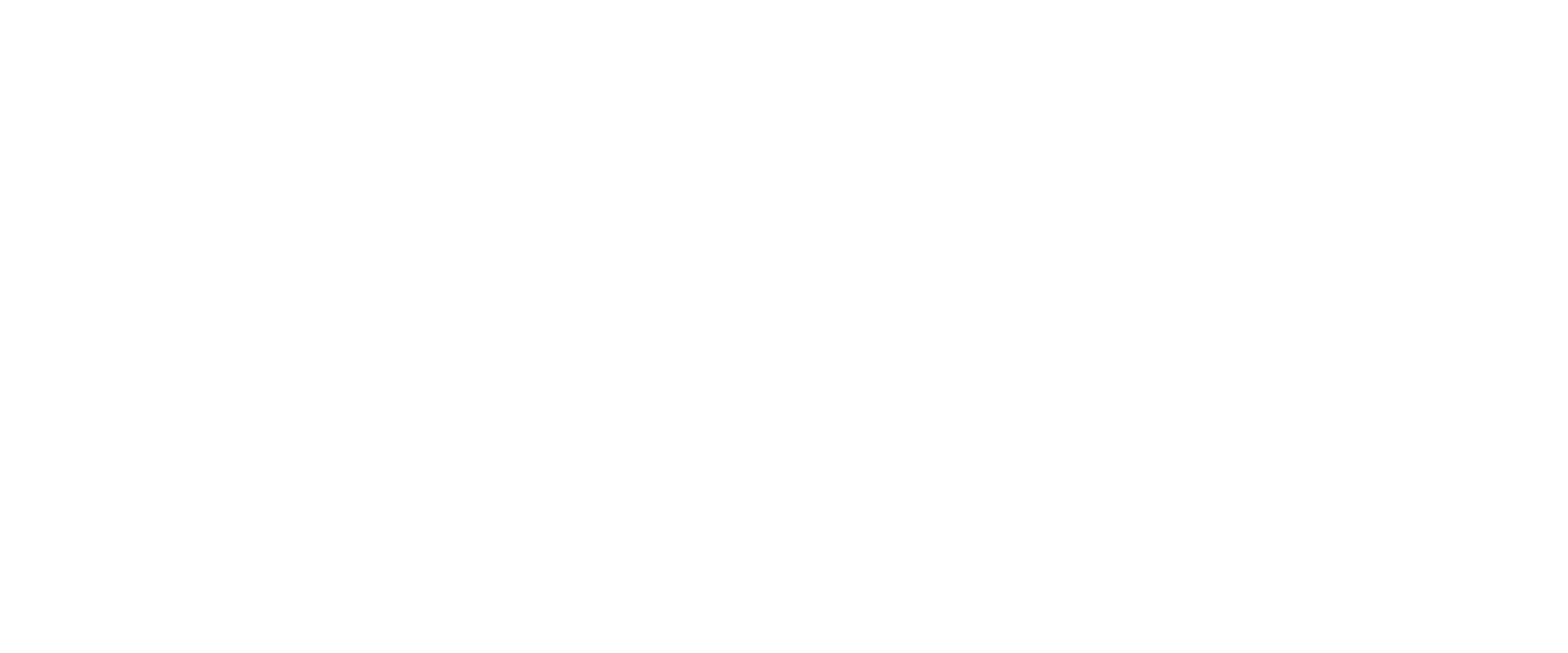 المجلس الجديد
