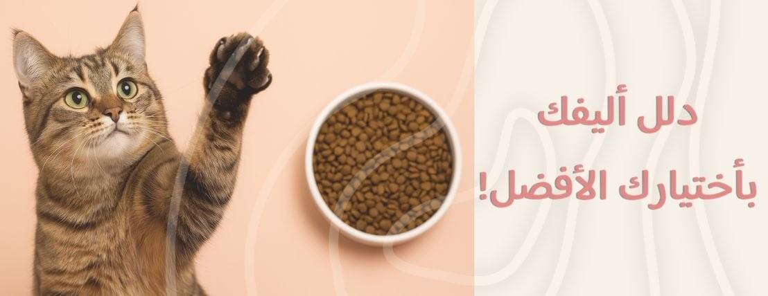 PawTouch image-slider-0