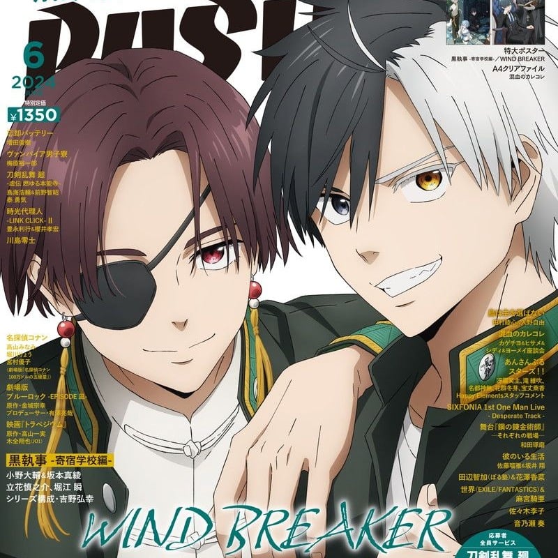 Wind Breaker image