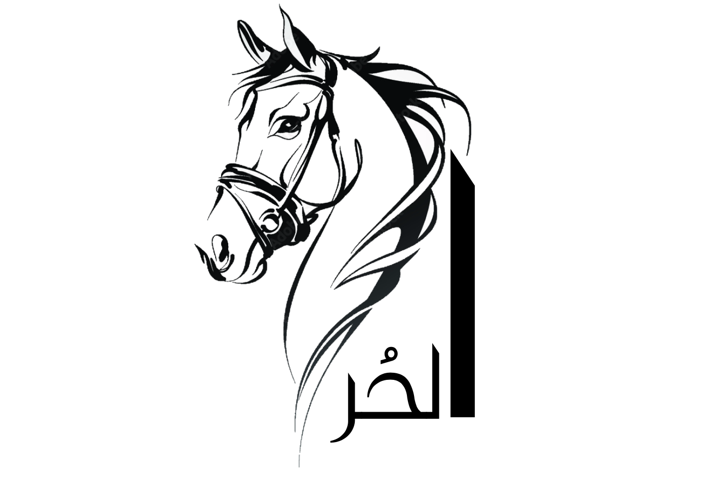 الـحُـر للفروسية