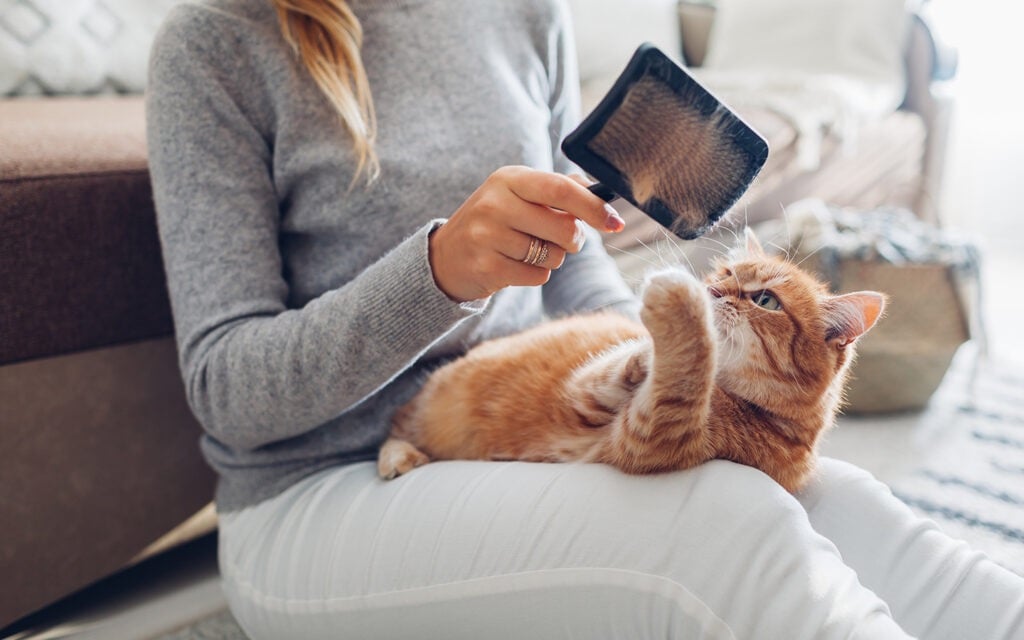 Special products slider