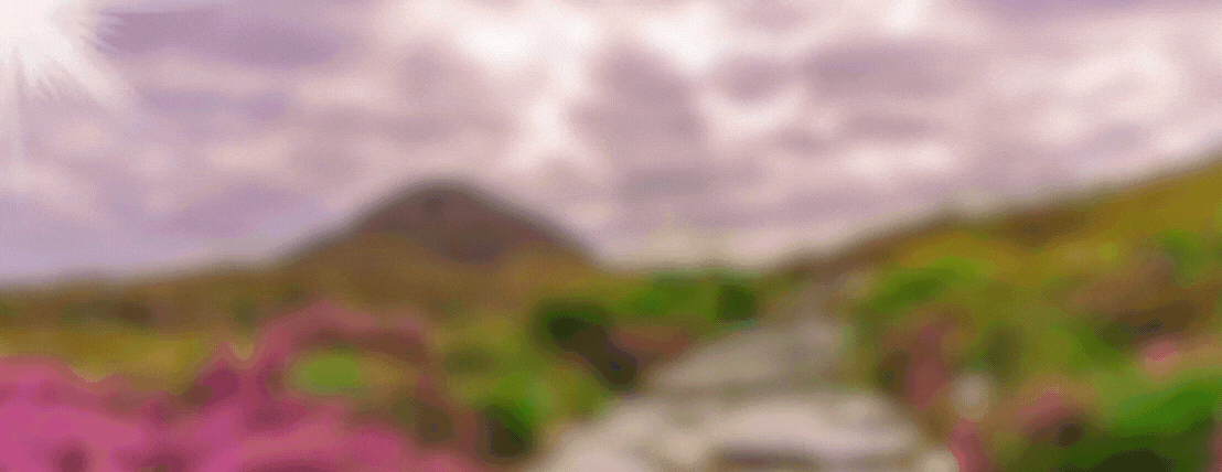 fixed banner