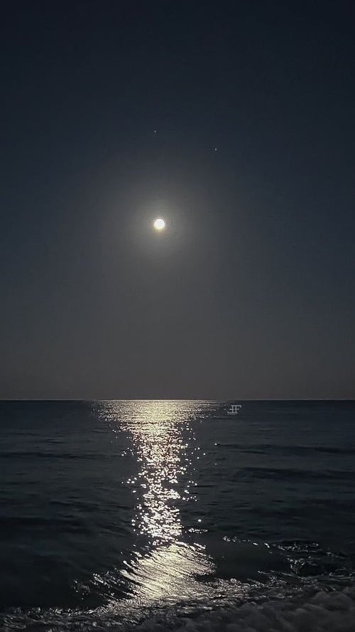 رغد عبدالله