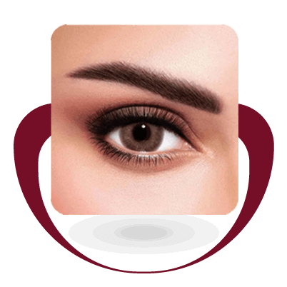 عدسات نيو لنس