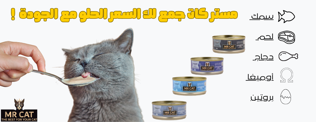 مرقط image-slider-4