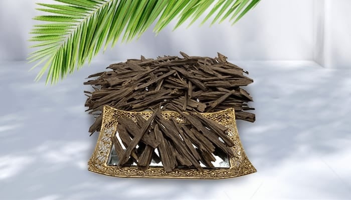 https://cdn.salla.sa/form-builder/7N1FrR2hPC5pnNrfKpU70MNYl7o4nyz6bbKE6D3r.jpg