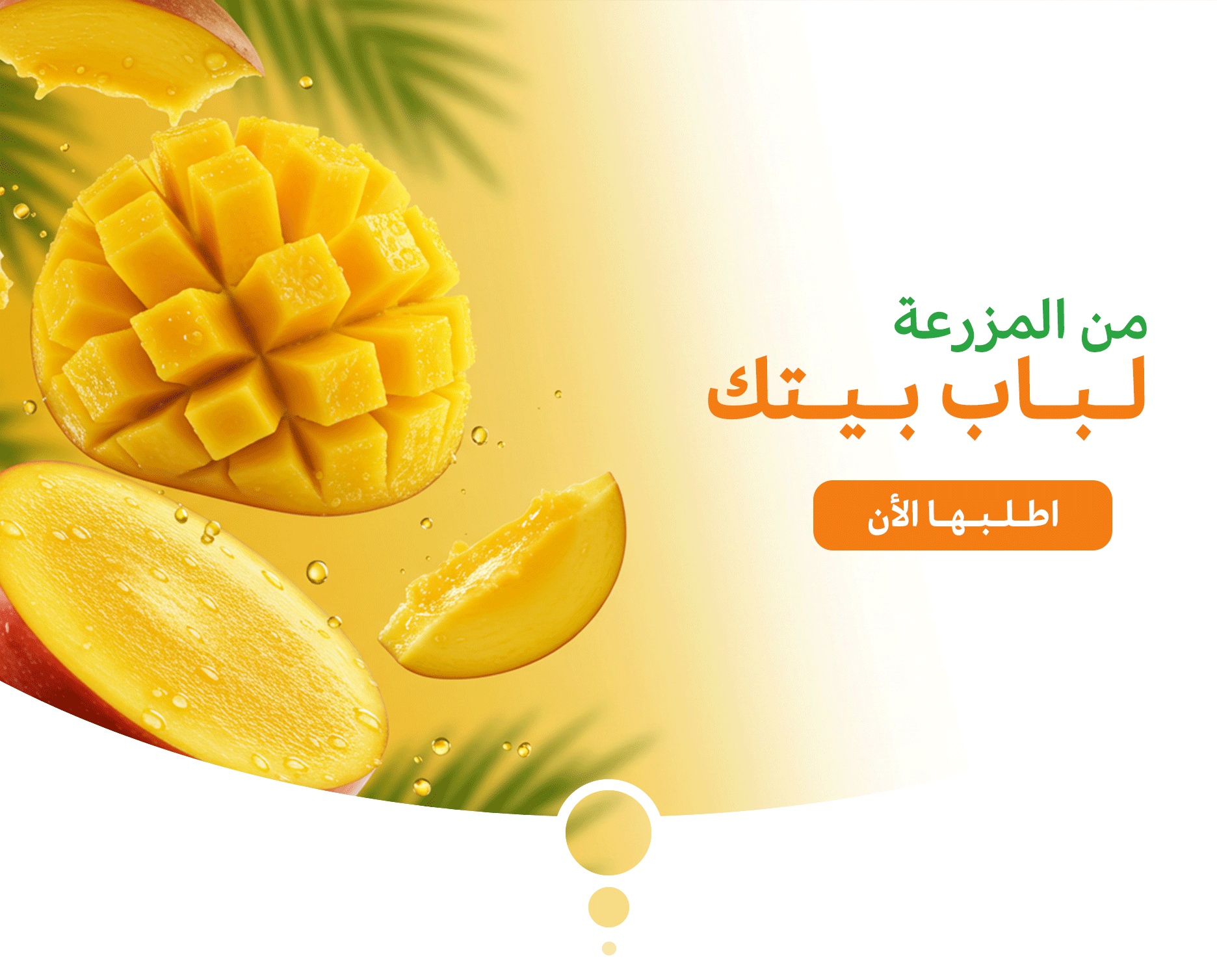 فريشيز