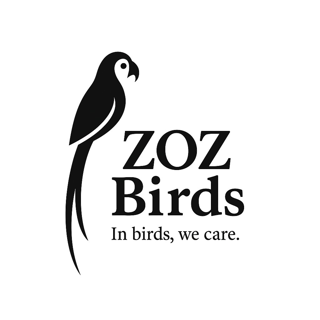 متجر  ZOZ Birds للطيور الناطقة