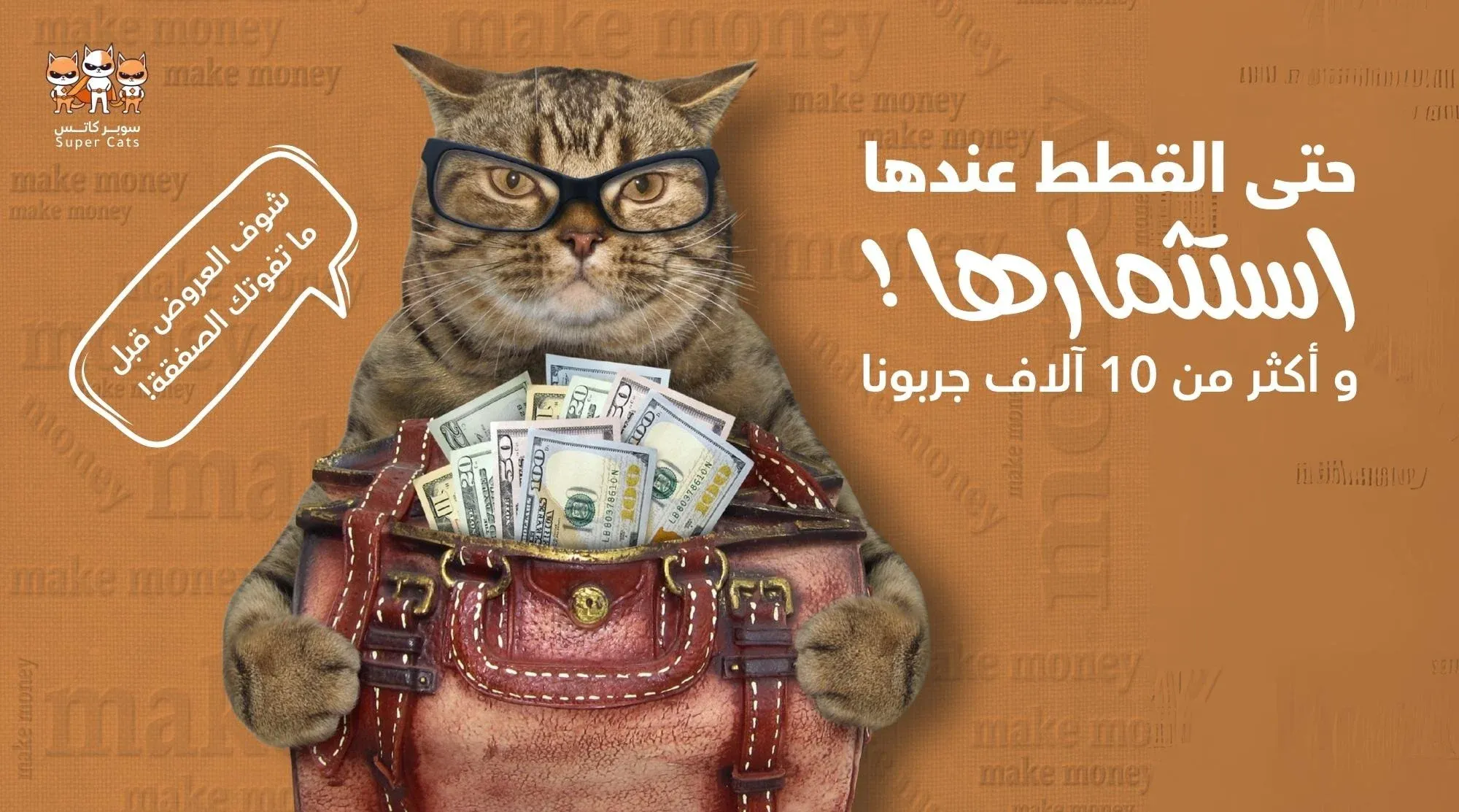 متجر سوبر كاتس لمستلزمات القطط