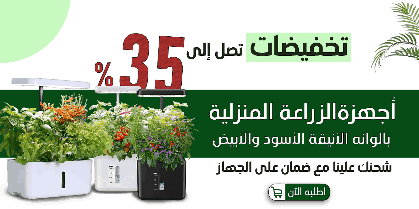 GREEN LILY image-slider-0