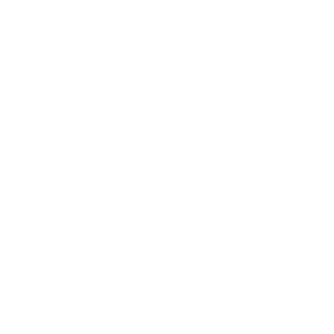 MOON SELECTIONS | logo