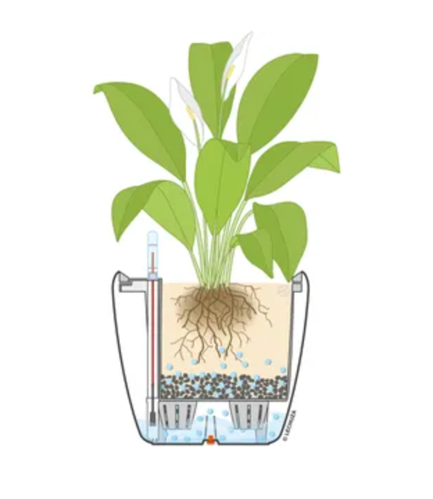 Special products slider