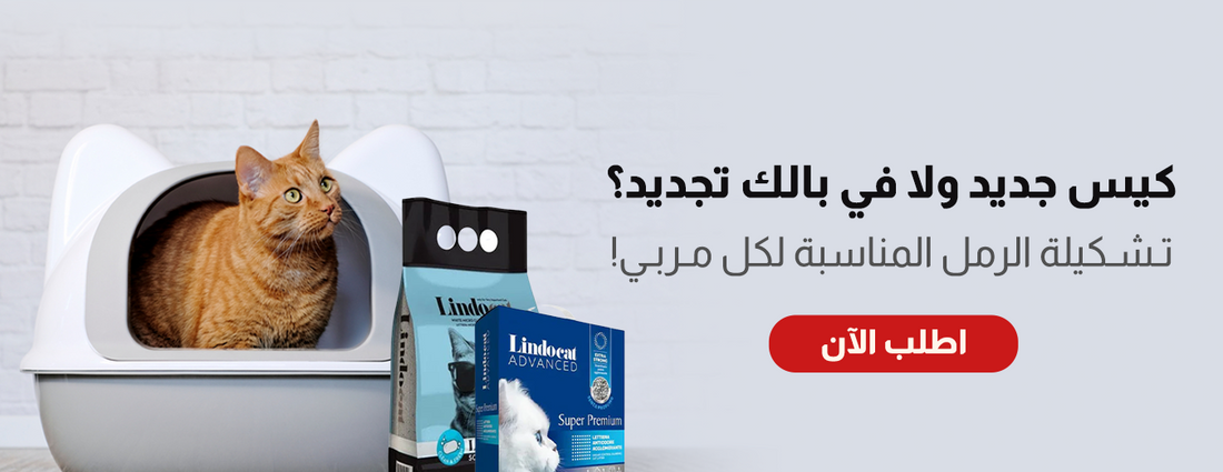 الحيوان النادر image-slider-3